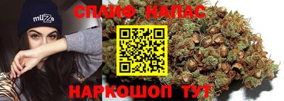 a pvp Гатчина