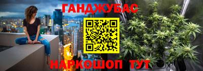 a pvp Гатчина