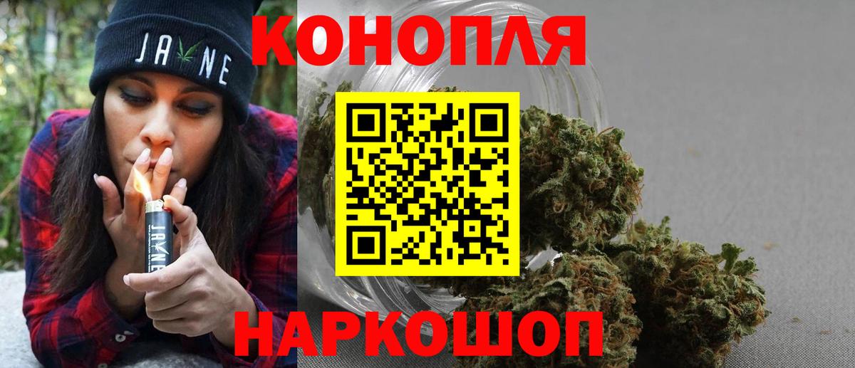 Конопля планчик Горно-Алтайск